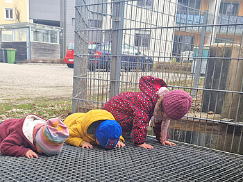 Drei Kinder liegen am Bauch und schauen durch ein Gitter am Boden.
